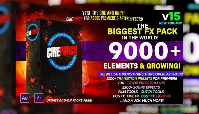 Cinepunch Master Suite v15